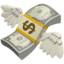 💸